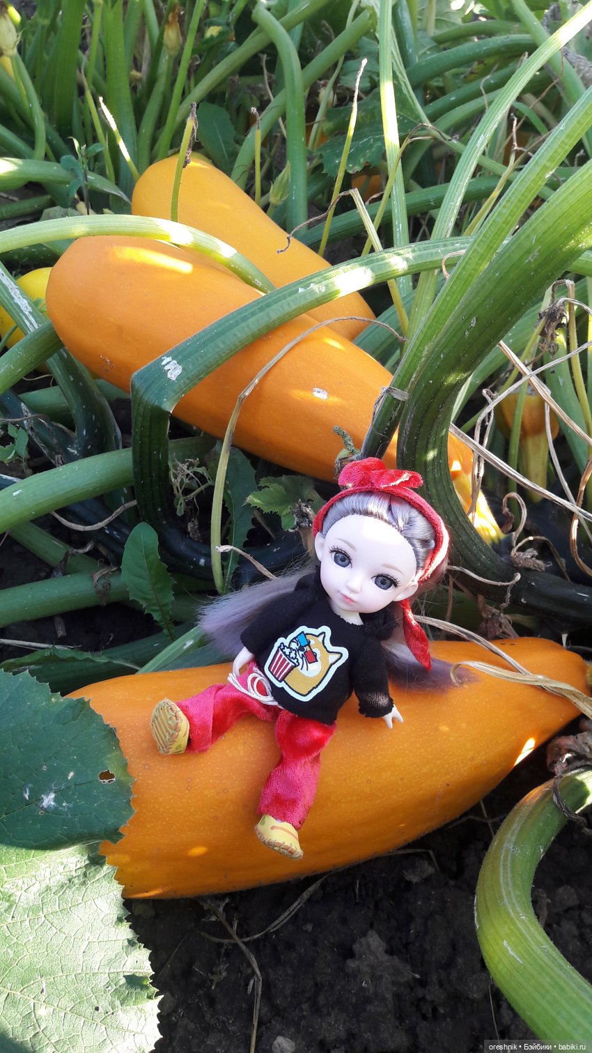 Как я кукурузу покоряла😋🌽🌤️ (фото 9)