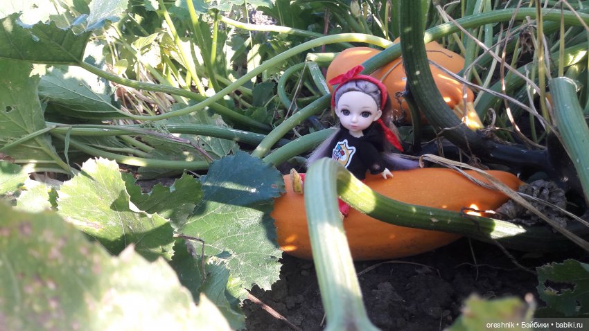 Как я кукурузу покоряла😋🌽🌤️ (фото 8)