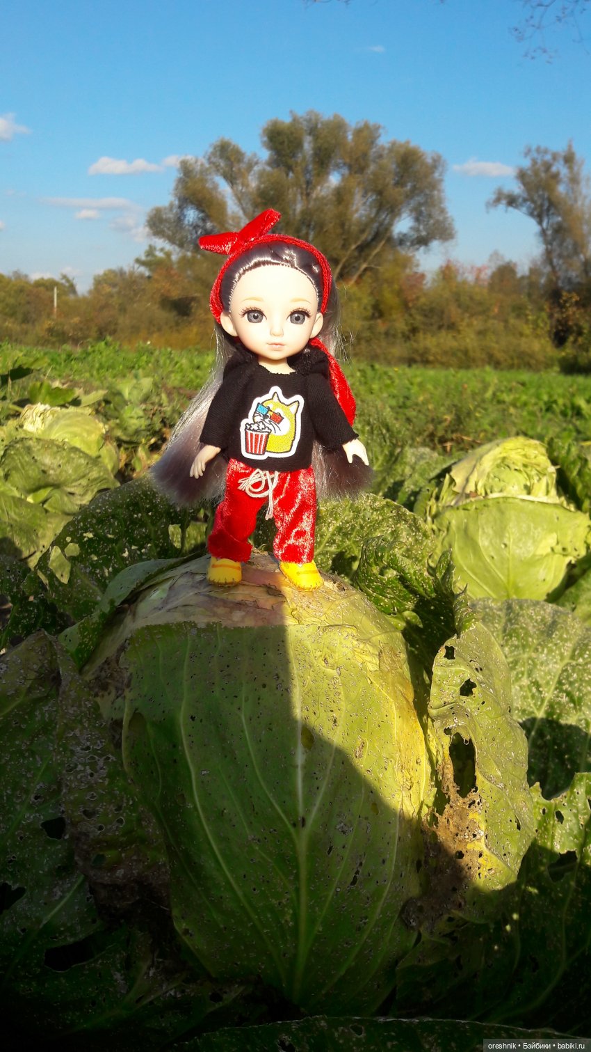 Как я кукурузу покоряла😋🌽🌤️ (фото 3)