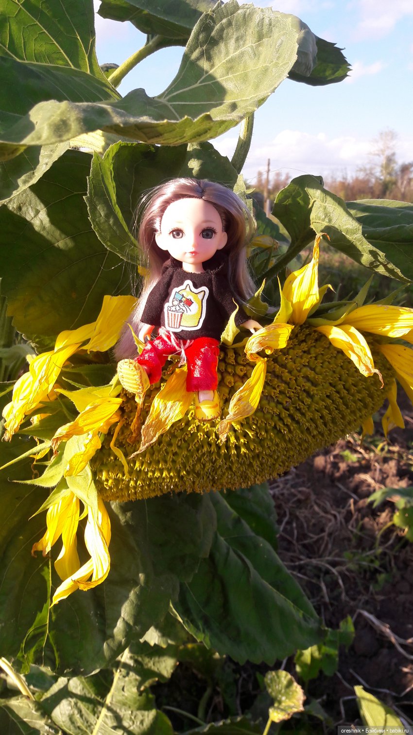 Как я кукурузу покоряла😋🌽🌤️