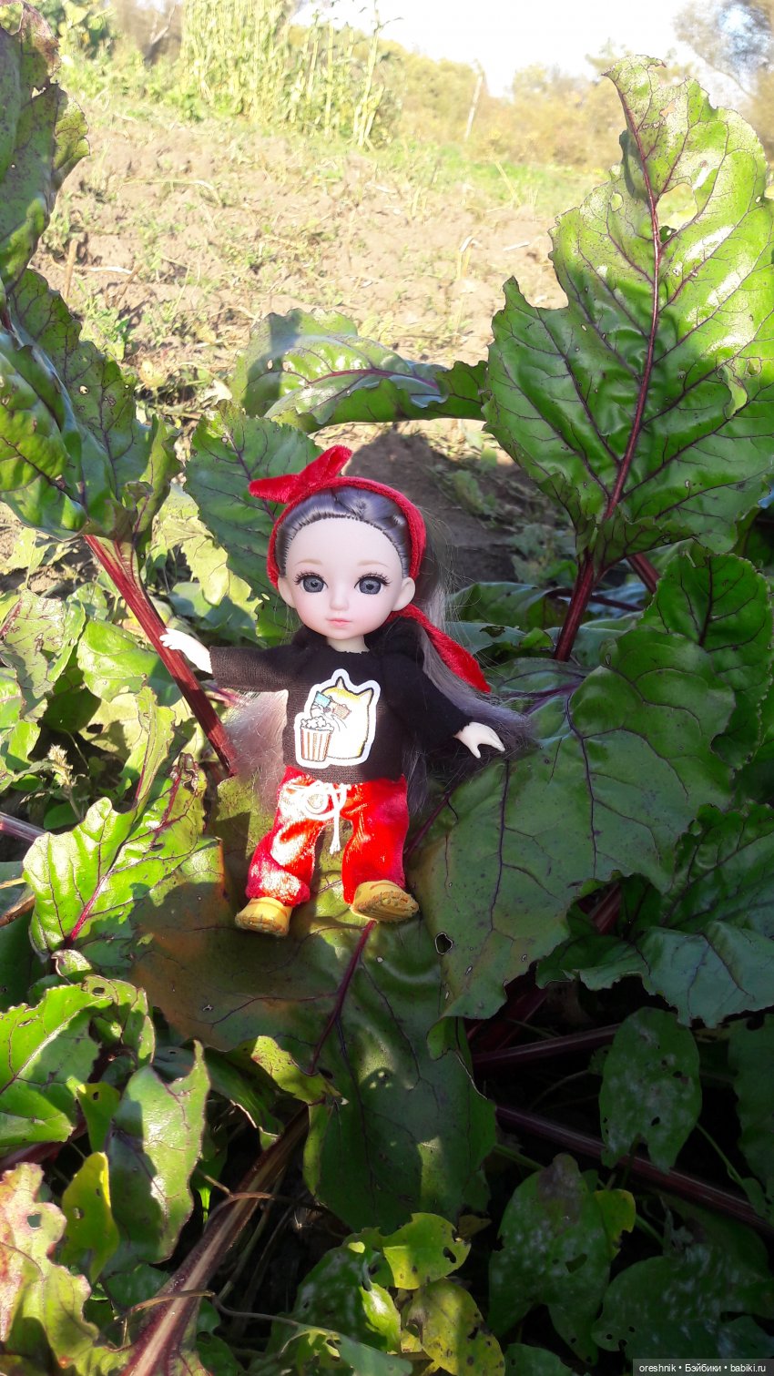 Как я кукурузу покоряла😋🌽🌤️