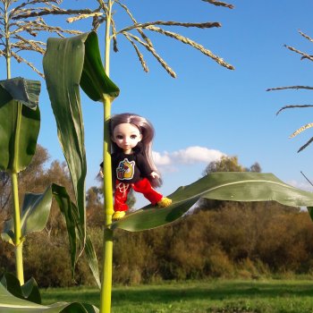 Как я кукурузу покоряла😋🌽🌤️