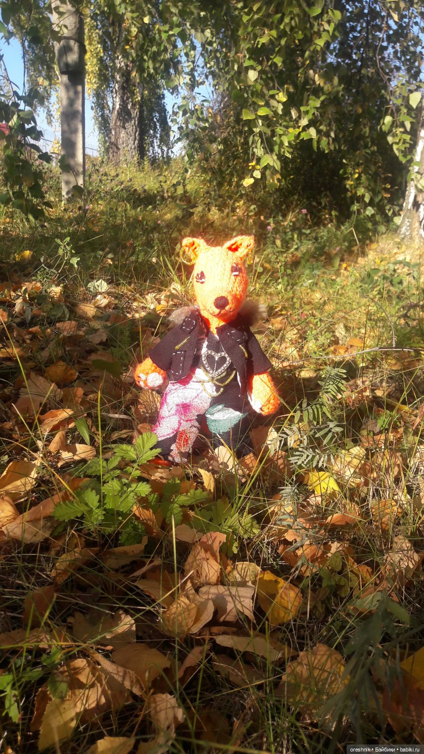 Как Лиса на солнышке грелась🦊☀️🌄