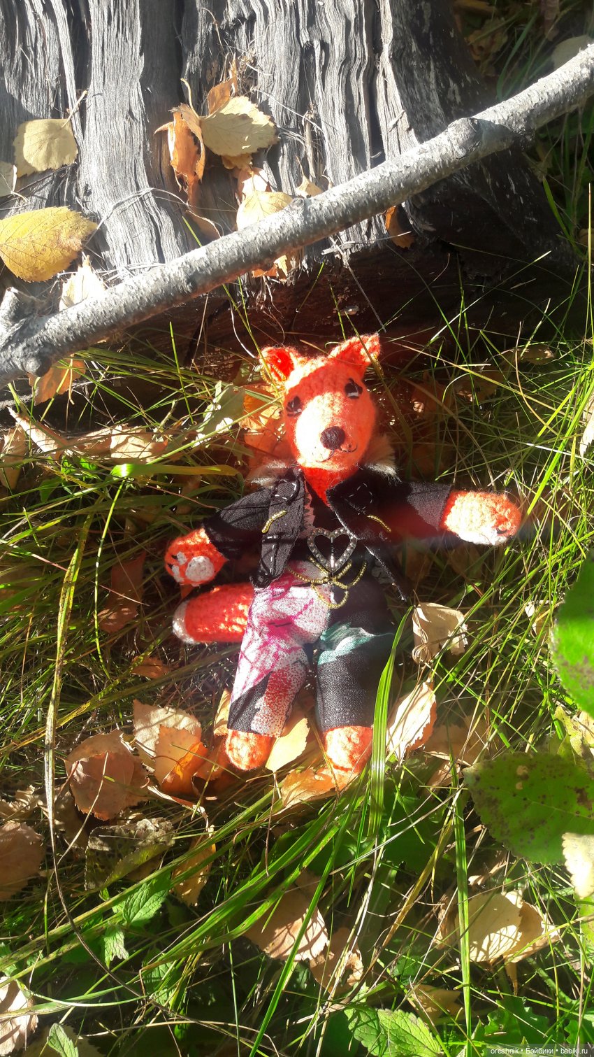 Как Лиса на солнышке грелась🦊☀️🌄