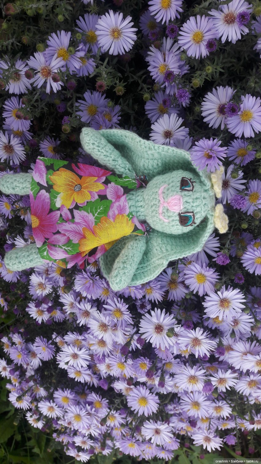 Как Лиса на солнышке грелась🦊☀️🌄