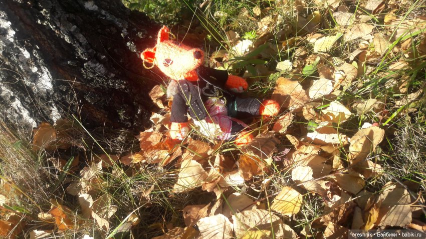 Как Лиса на солнышке грелась🦊☀️🌄 (фото 3)