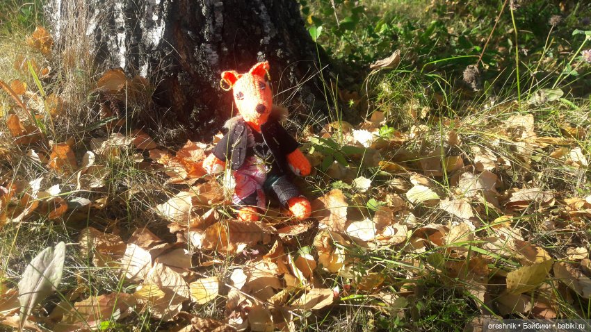 Как Лиса на солнышке грелась🦊☀️🌄 (фото 4)