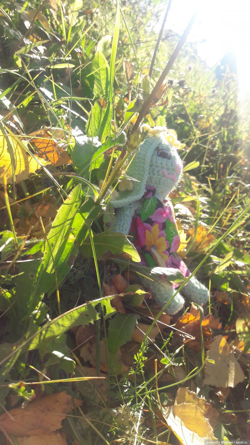 Как Лиса на солнышке грелась🦊☀️🌄