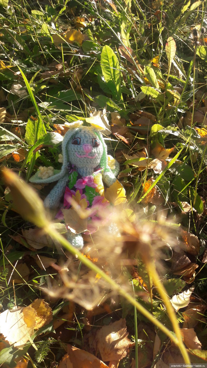 Как Лиса на солнышке грелась🦊☀️🌄