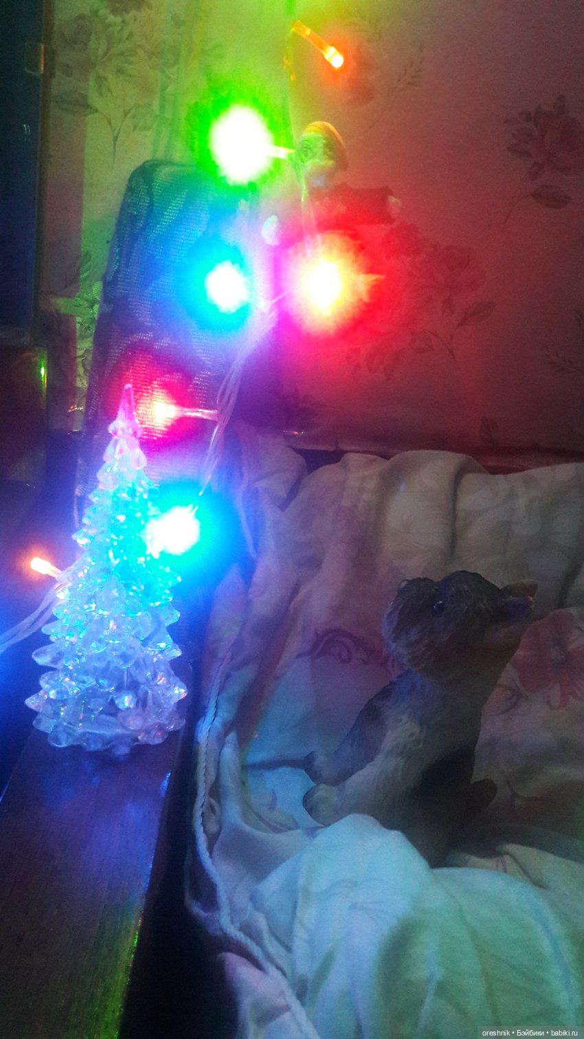 Урок бесстрашия от Утки🦆😃🔥 (фото 4)