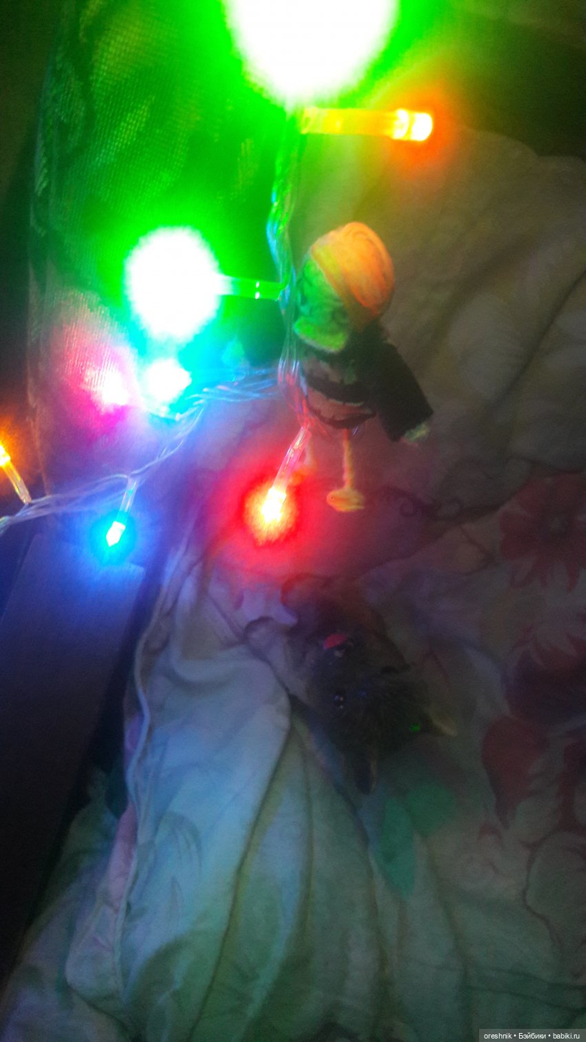 Урок бесстрашия от Утки🦆😃🔥 (фото 3)