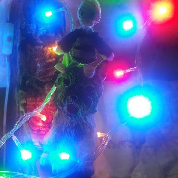 Урок бесстрашия от Утки🦆😃🔥