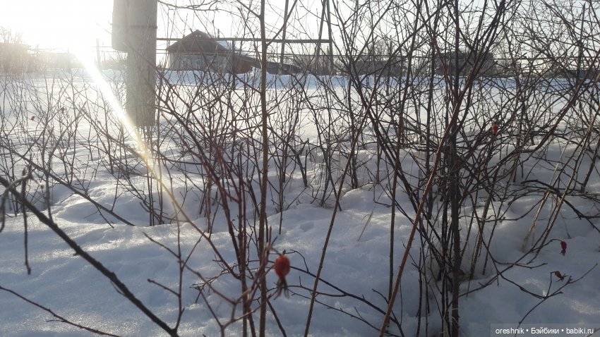 Забираем последнюю горячую путёвку в холодную зиму❄️🤩🌨️