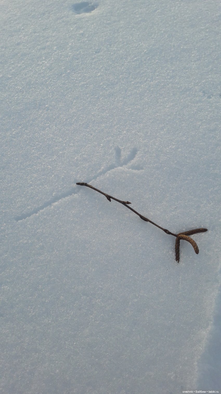 Продолжение путешествия по последней путёвке в зиму❄️☀️✨