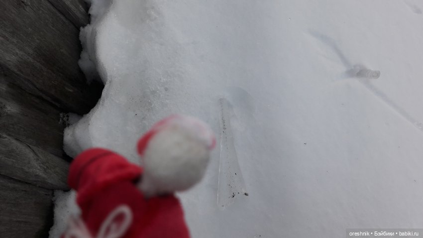 Продолжение путешествия по последней путёвке в зиму❄️☀️✨