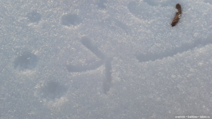 Продолжение путешествия по последней путёвке в зиму❄️☀️✨