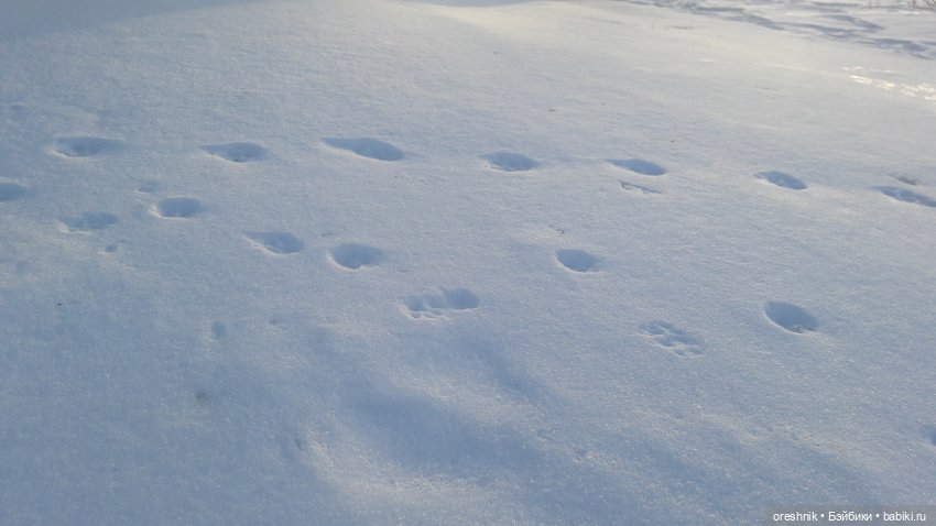 Продолжение путешествия по последней путёвке в зиму❄️☀️✨