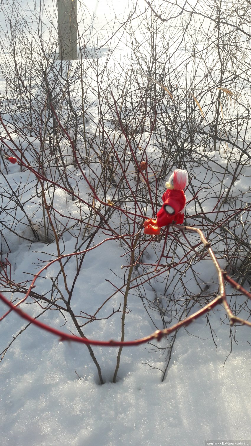 Продолжение путешествия по последней путёвке в зиму❄️☀️✨ (фото 2)