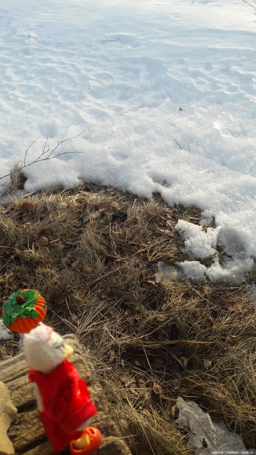 Продолжение путешествия по последней путёвке в зиму❄️☀️✨