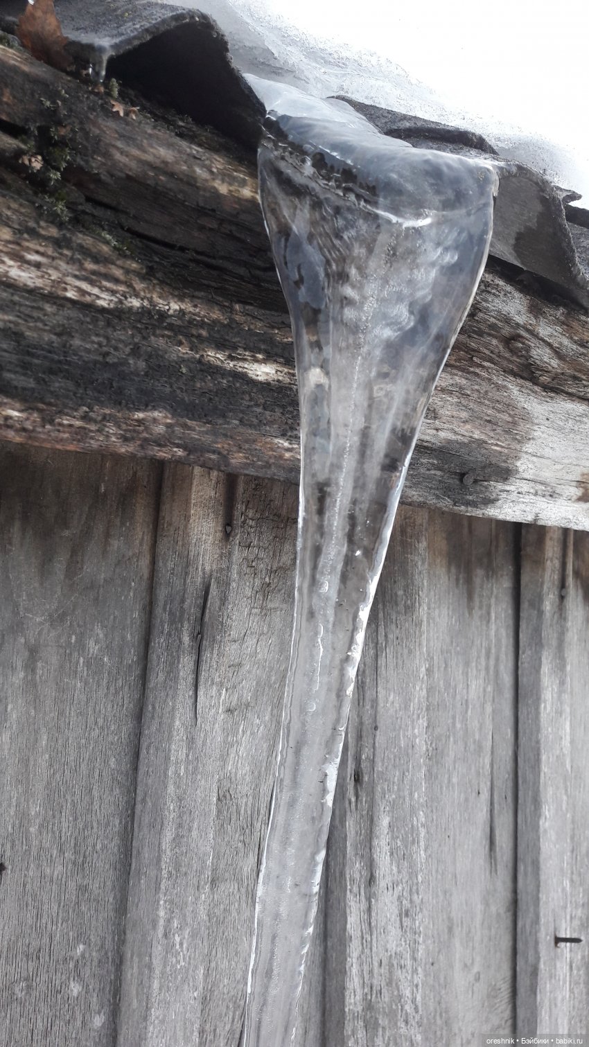 Продолжение путешествия по последней путёвке в зиму❄️☀️✨