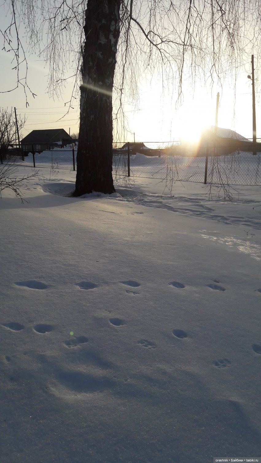 Продолжение путешествия по последней путёвке в зиму❄️☀️✨
