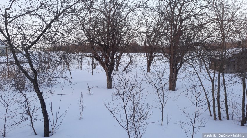 Продолжение путешествия по последней путёвке в зиму❄️☀️✨
