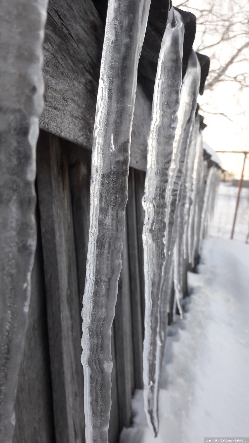 Продолжение путешествия по последней путёвке в зиму❄️☀️✨