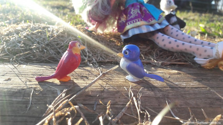 Тайна Мэделин! А ещё птицы и Утка🕊️🦆🐦💕✨