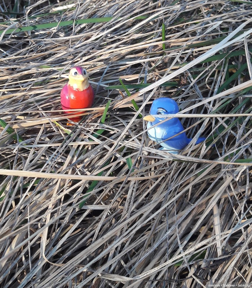 Тайна Мэделин! А ещё птицы и Утка🕊️🦆🐦💕✨ (фото 4)