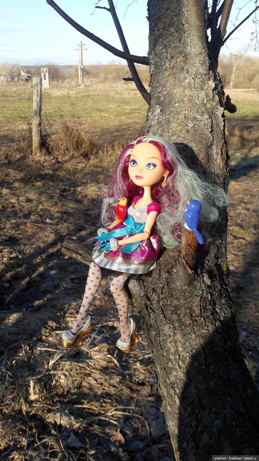 Тайна Мэделин! А ещё птицы и Утка🕊️🦆🐦💕✨