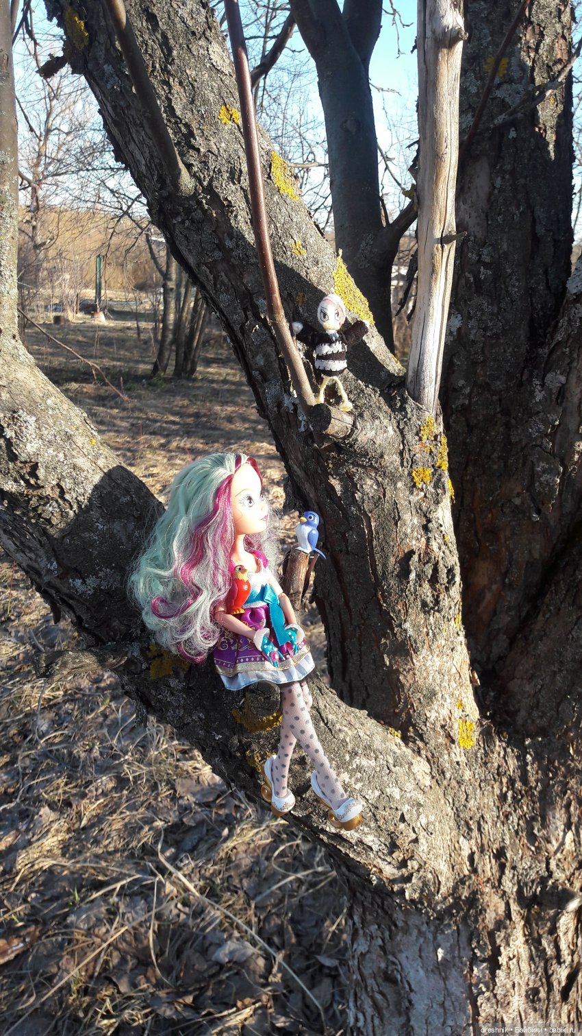 Тайна Мэделин! А ещё птицы и Утка🕊️🦆🐦💕✨