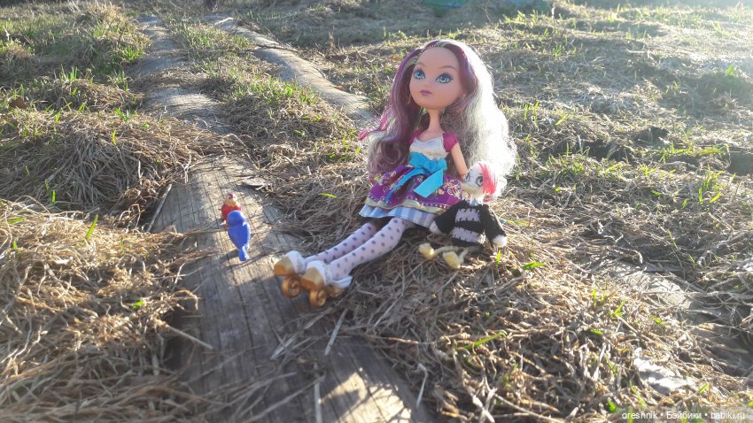 Тайна Мэделин! А ещё птицы и Утка🕊️🦆🐦💕✨