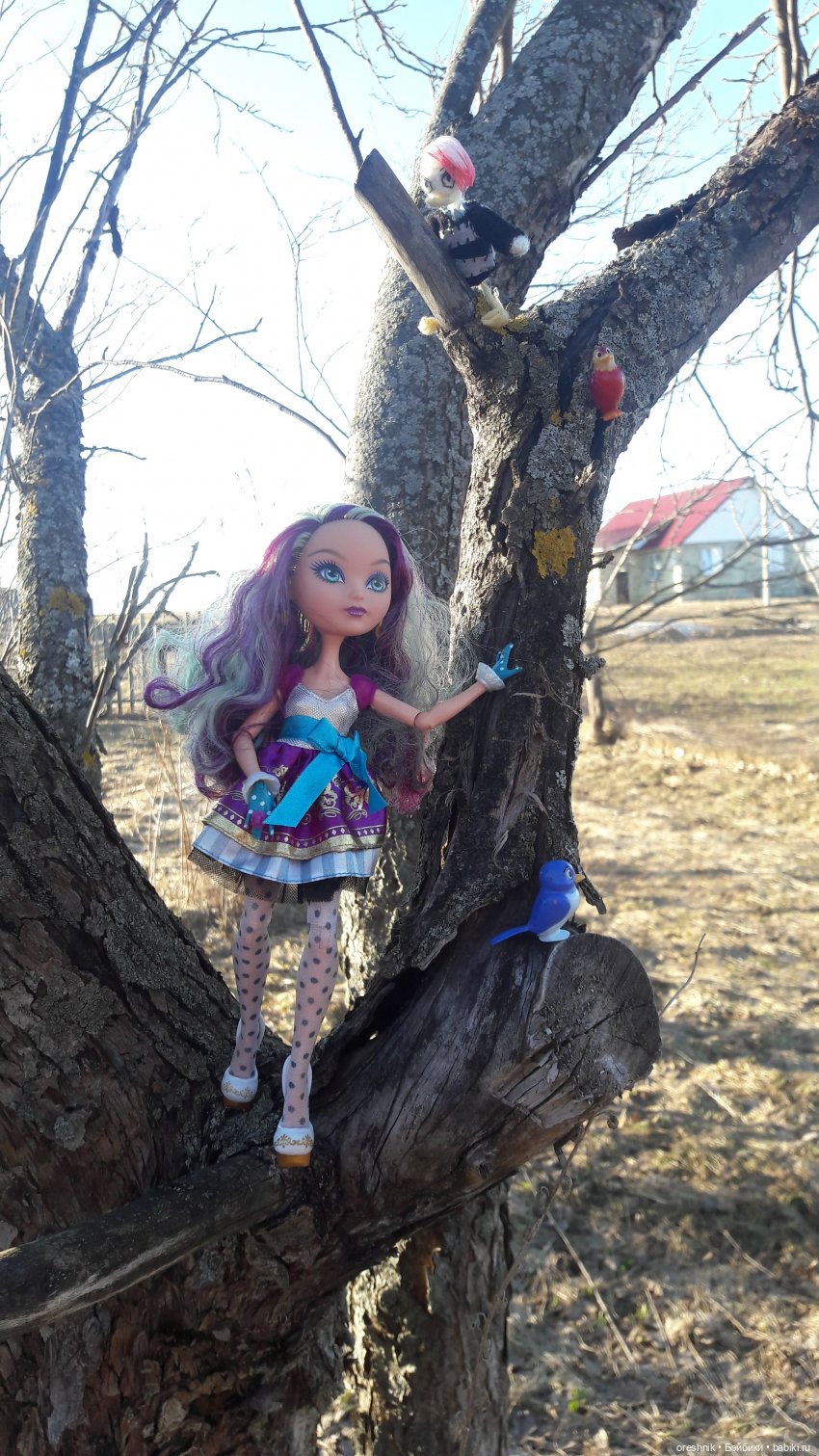 Тайна Мэделин! А ещё птицы и Утка🕊️🦆🐦💕✨ (фото 10)