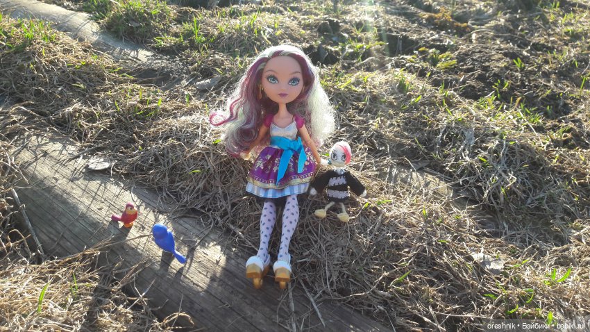 Тайна Мэделин! А ещё птицы и Утка🕊️🦆🐦💕✨