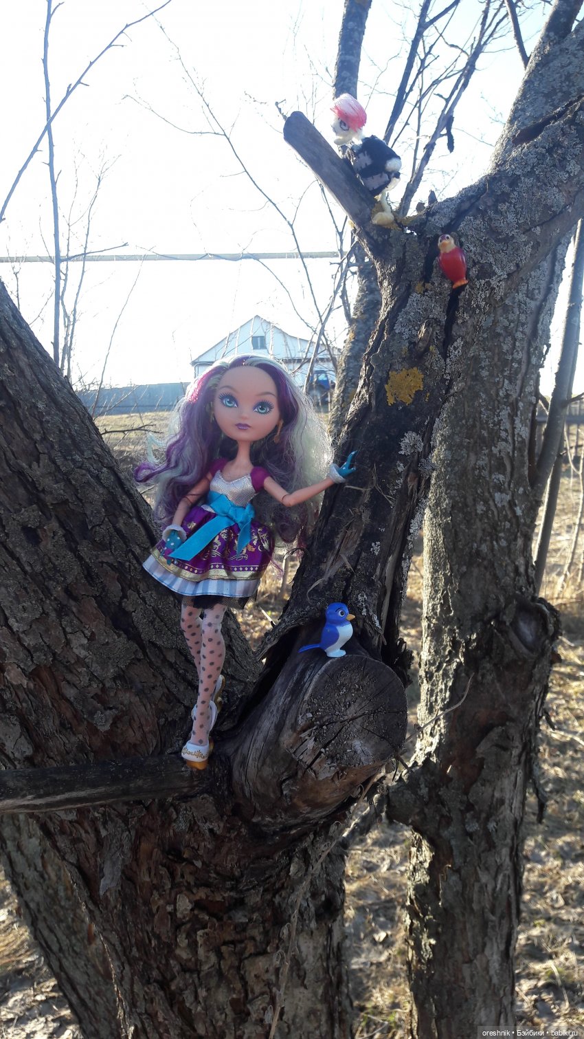 Тайна Мэделин! А ещё птицы и Утка🕊️🦆🐦💕✨