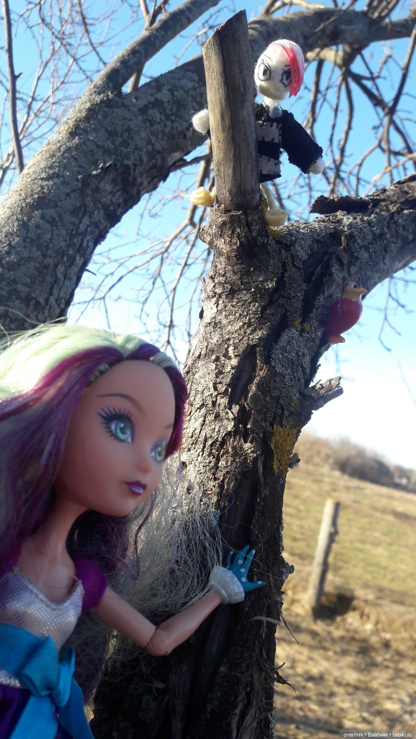 Тайна Мэделин! А ещё птицы и Утка🕊️🦆🐦💕✨