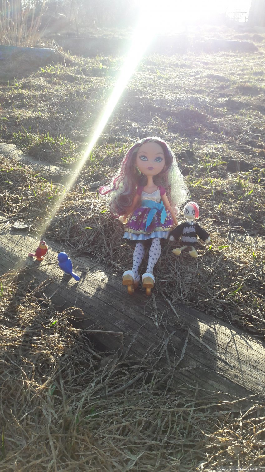 Тайна Мэделин! А ещё птицы и Утка🕊️🦆🐦💕✨