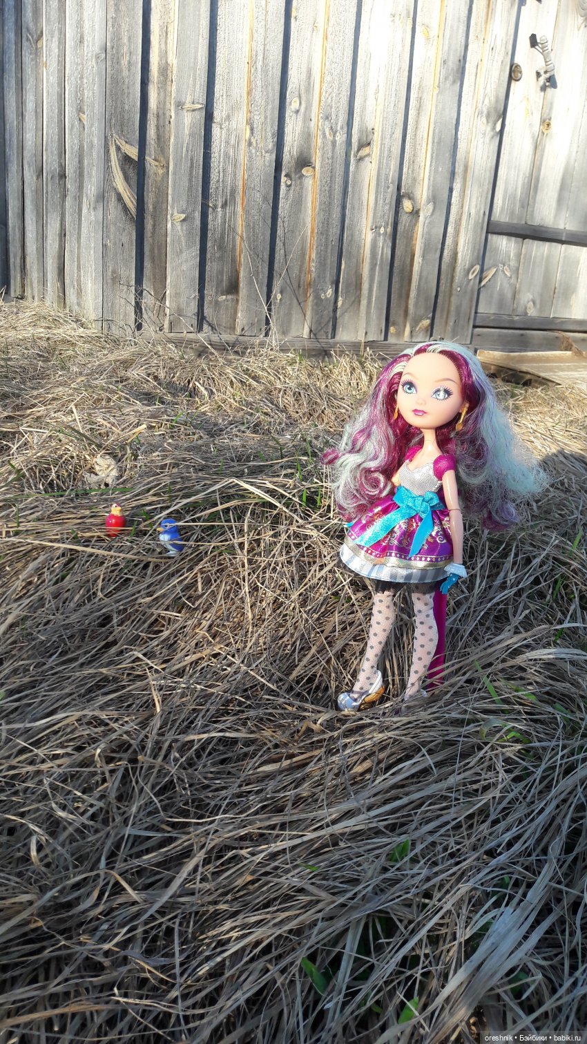 Тайна Мэделин! А ещё птицы и Утка🕊️🦆🐦💕✨