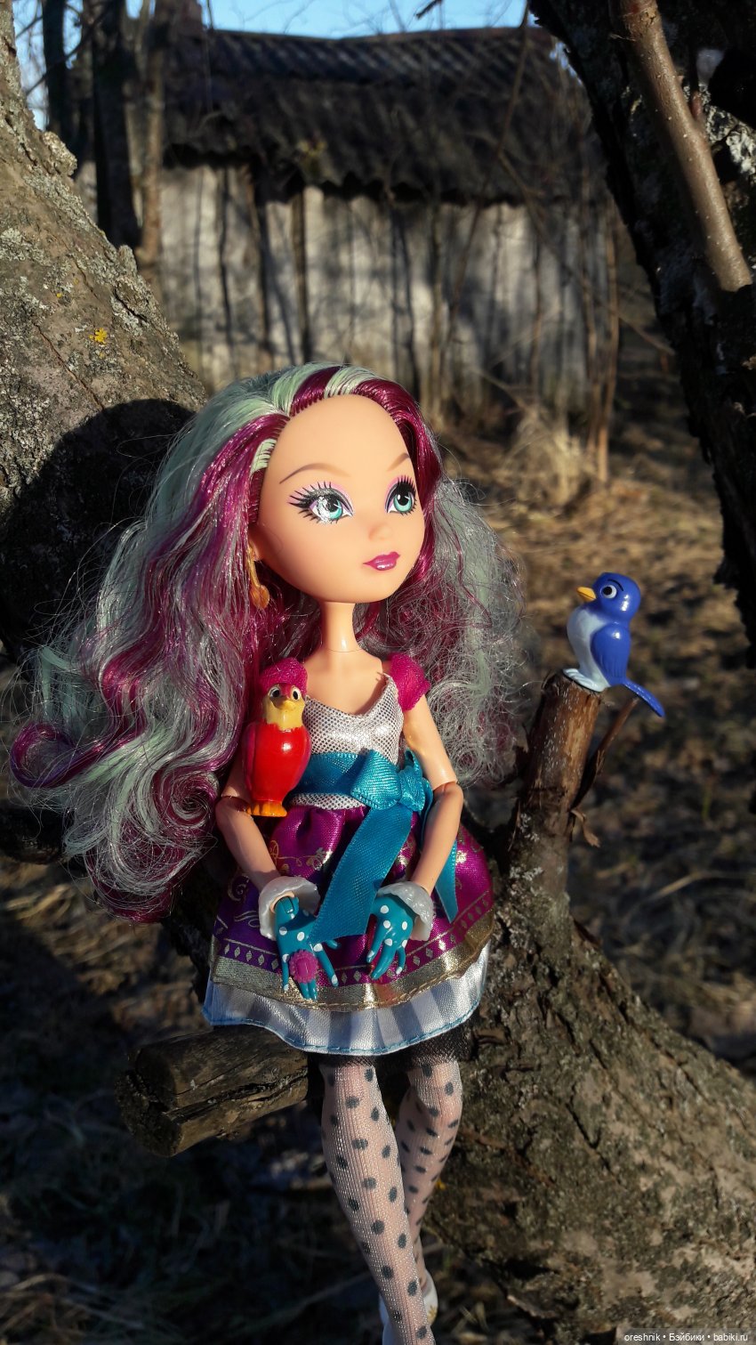 Тайна Мэделин! А ещё птицы и Утка🕊️🦆🐦💕✨ - Куклы Monster High и Ever  After High - Монстер Хай и Эвер Афтер Хай | Бэйбики - 363356