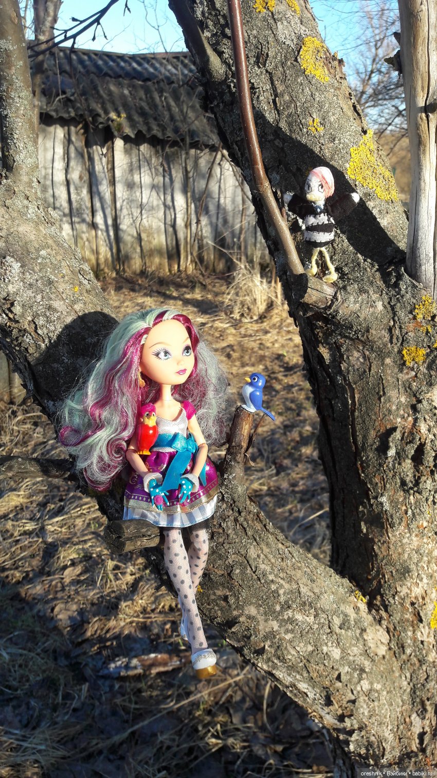 Тайна Мэделин! А ещё птицы и Утка🕊️🦆🐦💕✨