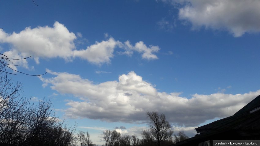 Моя маленькая взрослая Яночка и Ам-нямчик вдыхают весну🌺🌱☀️