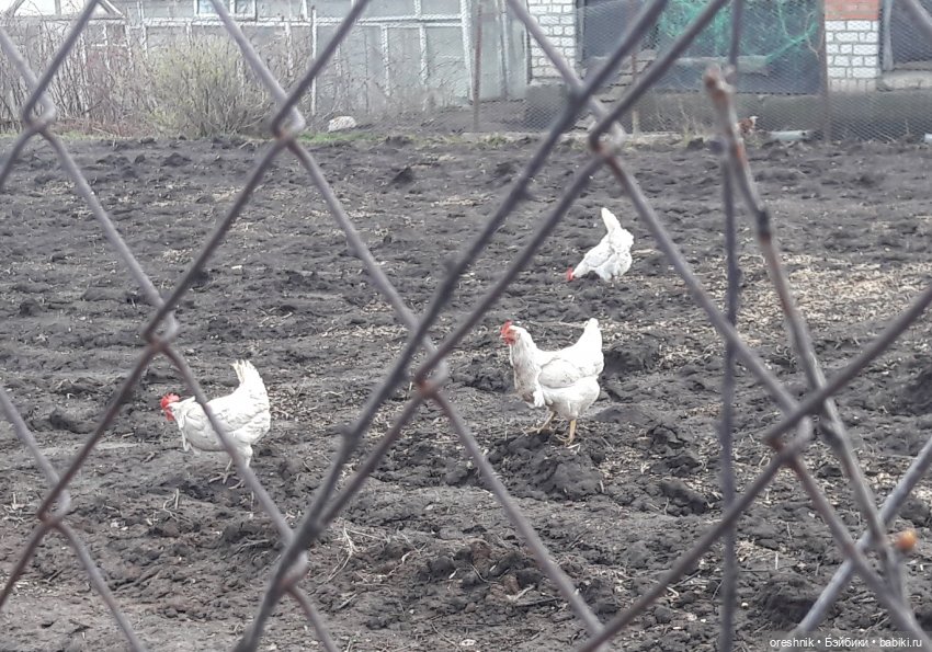 Моя маленькая взрослая Яночка и Ам-нямчик вдыхают весну🌺🌱☀️