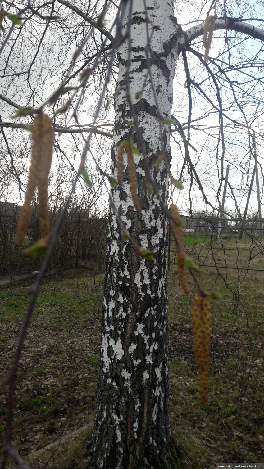 Моя маленькая взрослая Яночка и Ам-нямчик вдыхают весну🌺🌱☀️