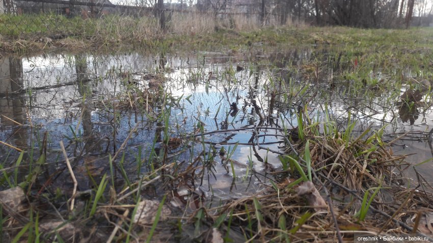 Моя маленькая взрослая Яночка и Ам-нямчик вдыхают весну🌺🌱☀️
