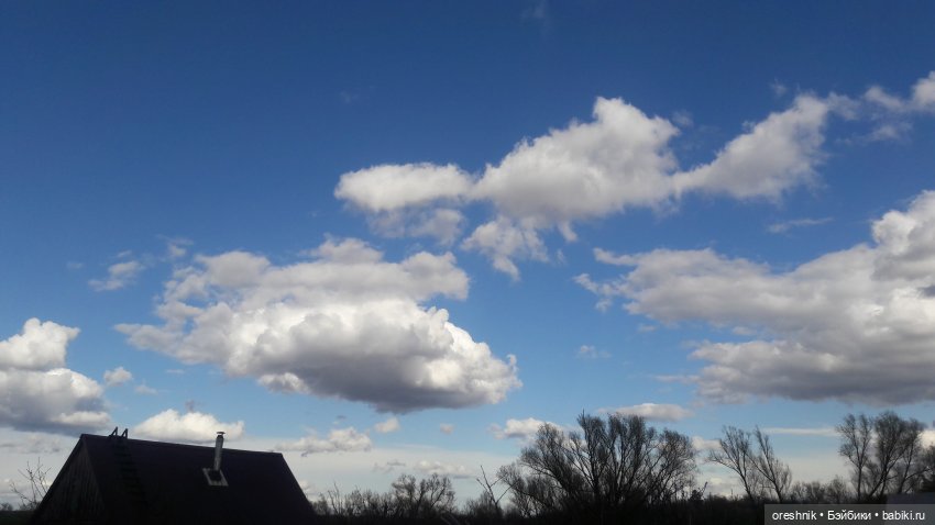 Моя маленькая взрослая Яночка и Ам-нямчик вдыхают весну🌺🌱☀️