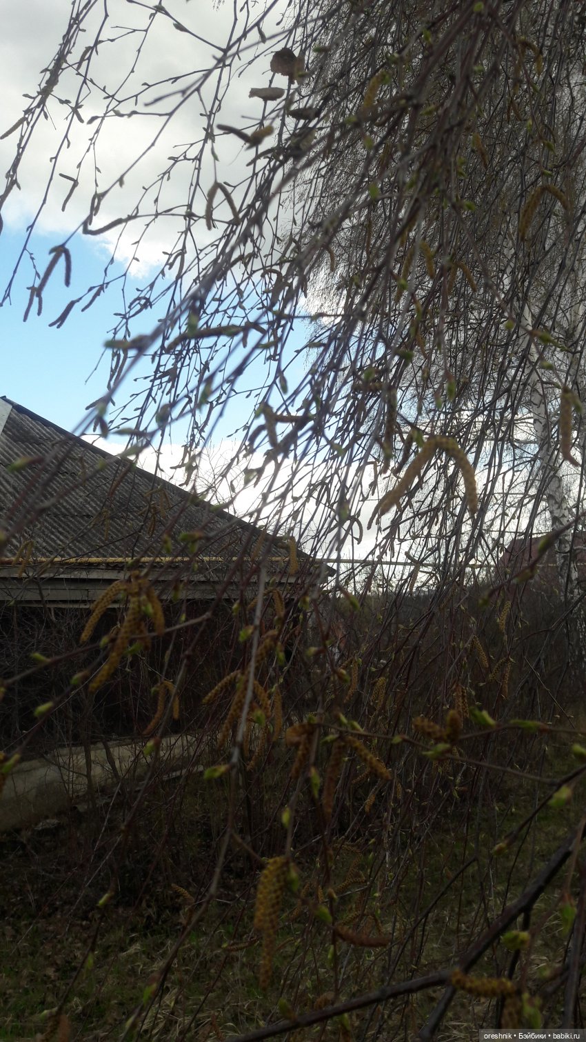 Моя маленькая взрослая Яночка и Ам-нямчик вдыхают весну🌺🌱☀️