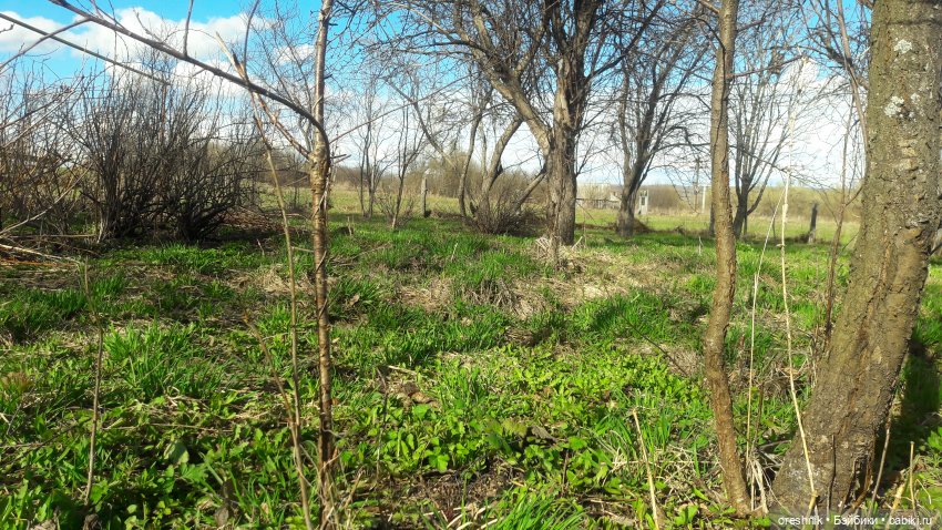Моя маленькая взрослая Яночка и Ам-нямчик вдыхают весну🌺🌱☀️