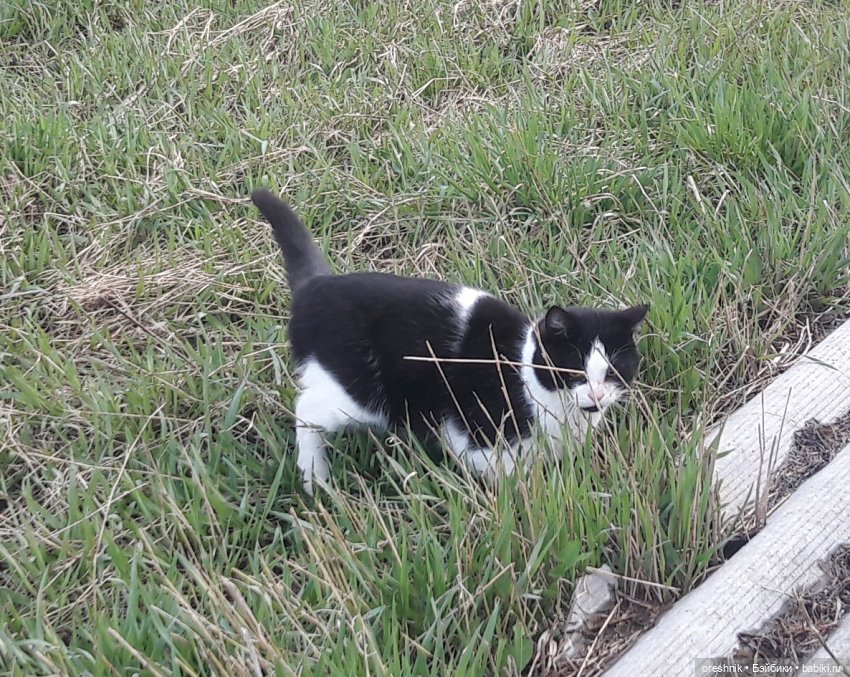 Моя маленькая взрослая Яночка и Ам-нямчик вдыхают весну🌺🌱☀️