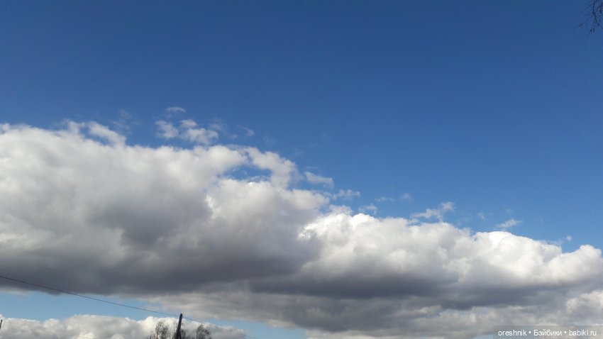 Моя маленькая взрослая Яночка и Ам-нямчик вдыхают весну🌺🌱☀️