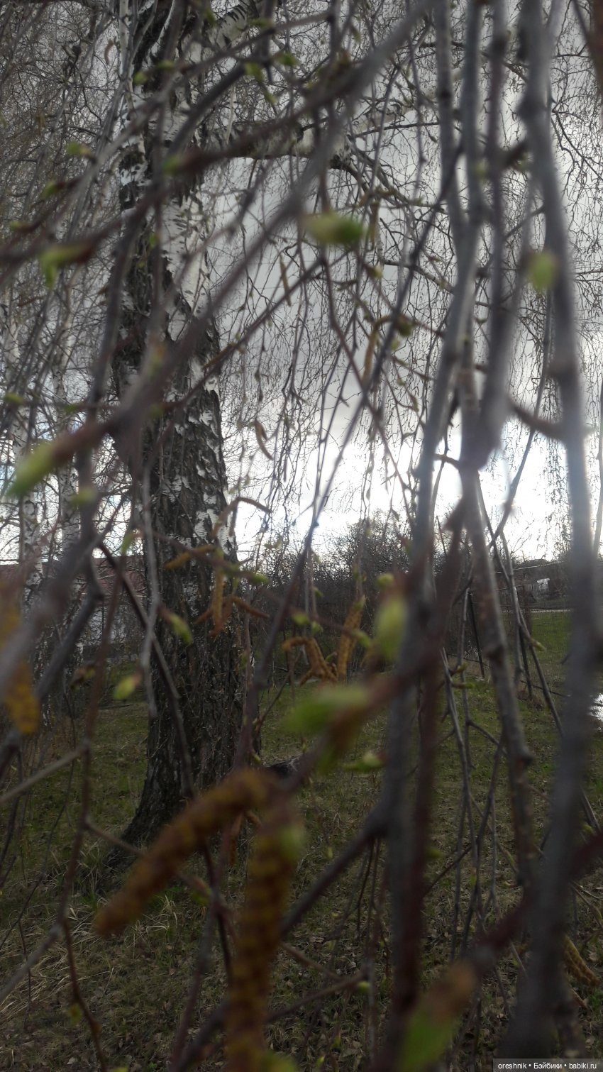 Моя маленькая взрослая Яночка и Ам-нямчик вдыхают весну🌺🌱☀️